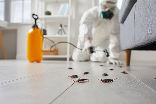 Trusted Fumigation Services service in Girard, OH - Nex Pest Control