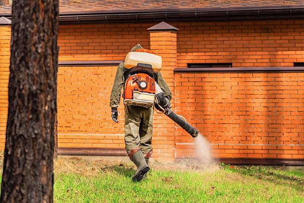 Trusted Cockroach Control service in Girard, OH - Nex Pest Control